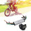 Brushless Motor Dual Drive Controller 24V 36V 48V 5