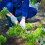 Manual Weeding Tool 5 Teeths Hand Weeder Puller Uprooting Weeder Tool Weeding Artifact Weeding Puller Weeder Tool 3