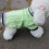 Jumpsuit Dog Pullover Knitted Sweater for Medium Dogs-Red XXL 3
