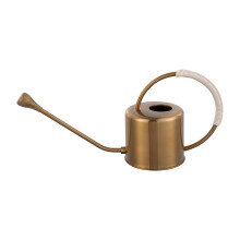 Arrosoir d'intérieur pour plantes d'intérieur, petit arrosoir-or