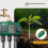 3-Way Automatic Water Timer Garden Irrigation Watering System Independents Control Sprinkler NH3/4Inch External Thread 3