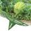 Strawberry Support Squash Protector Stand Garden Pumpkin Support Stand Trellis Avoid Ground Rot for Watermelons Squash 6