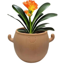 Maceta de Cerámica Decorativa para Plantas, Decoración del Hogar, con Cara Sonriente, para Jardín, Balcón, Bonsái, Patio, Escritorio para Hombre.