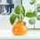 Ceramic Hydroponic Vase Home Tabletop Decorative Decorations Fruit Planter Ceramic Living Room Ornaments 5