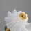 LED Wireless Flower Lamp Touch-Sensing USB Rechargeable Decorative Desk Light Dimmable Tricolored Reading Light B 4
