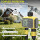 Intelligent Watering Controller Dual-Zone Water Timer Control System Automatic Outdoor Flower Watering Valve Device 9