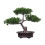 Artificial Tree Sculpture Faux Miniature Greenery-Double layer 1