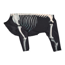 Halloween Skeleton Dog Costume Pet Costume for Puppy Kitten Festival H