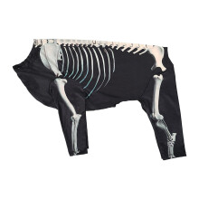 Halloween Skeleton Dog Costume Pet Costume for Puppy Kitten Festival H