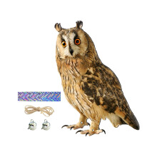 Fake Owl Decoration Realistic Owl to Keep Birds Away for Rooftops Yard