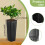 30 Pieces Deep Tree Starter Pots Versatile Planting Cups Plant Seedlin 2