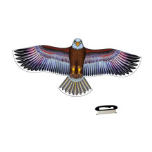 Eagle Shape Kite Outdoor Toy Game Beautiful Sports Kite for Holiday Ba