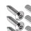 License Plate Screws Set License Plate Mounting Hardware License Plate 3