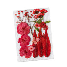Dried Pressed Flowers Dry Leaves Kits for Scrapbooking Envelopes Bookm