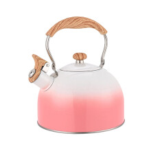 Whistling Kettle with Spout Cover Stovetop Kettle for Hiking Camping O