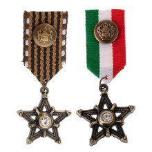2 Pieces Vintage Mens Gift Star Medal Badge Clothing Costume Navy Broo