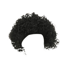 Punk Metal Rocker Character Costume Wig Fancy Dress Wig for Family Wom