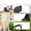 Dog Ear Cover Ear Wrap Bath Ear Protective  Bath Swim Cap M Gray 3