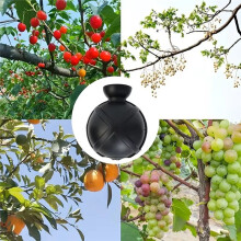 10PCS Plant Rooting Propagation Rooting Box Reusable Plant Root Growing Box Grafting Rooting Propagation Pots