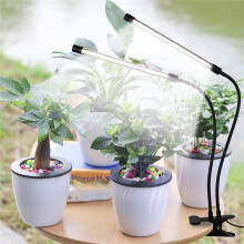 LED Grow Light, Full Spectrum 6000K with Timer, Dimmable Plant Lamp for Indoor Gardening