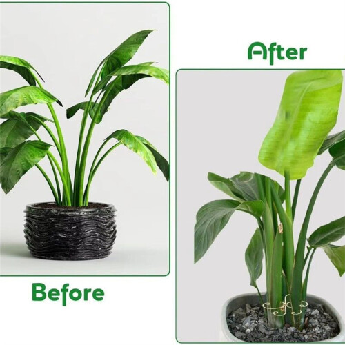 Supporto per Piante Riutilizzabile per Monstera, Stabilizzatore Riutilizzabile per Monstera Bonsai, da Interno e da Esterno, 6 Pezzi