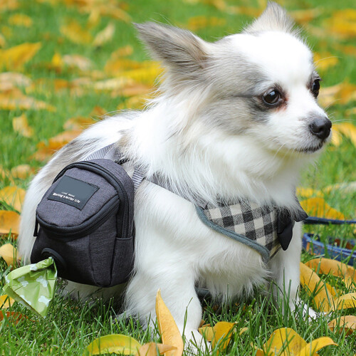 Support de sac à excréments de chien résistant aux-rose rouge 1