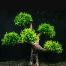 Artificial Aquatic Plant Aquarium Plant Terrarium Fish Tank Ornaments Decors Fish Tank Simulation Moss Tree Ornament