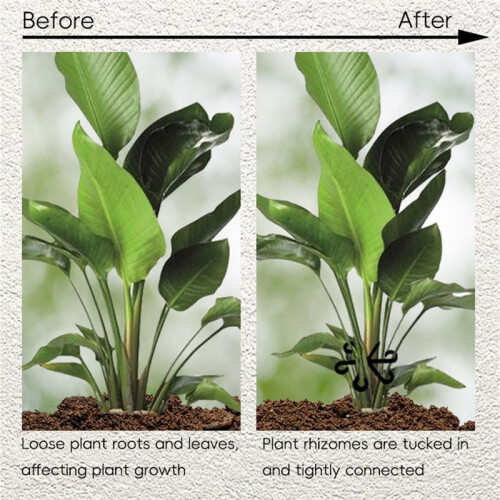 Reusable Plant Stem Folding Frame Gardening Tools Stakeless Vine Stand Plant Stem Support Red 2