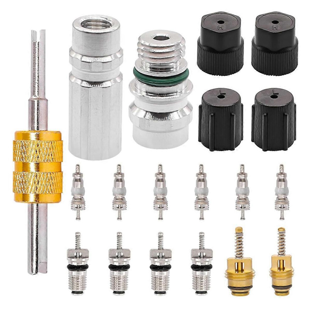 19Pcs Air Conditioning Valve Core Car Ac R12 R134a Refrigeration Valve Stem Cores Service Charging P 3216084322984