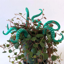 7 Pièces SeaMonster Tentacules Poulpe Tentacule Plante Piquet Piquets de Jardin pour Décoration Végétale Poulpe Tentacule Piquets B