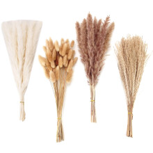 100 PCS Dried Pampas Grass Decor Pampas Grass Bunny Tails Dried Flowers Reed Grass Bouquet for Wedding Party Boho Decor