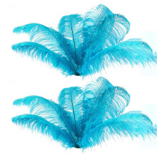 20 Pcs Natural Ostrich Feathers Wedding Party Decoration Lake 20-25cm