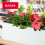 KADAX Rectangular Planter 18.5 x 56 cm, Outdoor Long Plastic Window Box with Insert 8