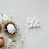 20Pcs Realistic White Plastic Parrot Fake Eggs for Breeding Control 6
