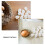 20Pcs Realistic White Plastic Parrot Fake Eggs for Breeding Control 8