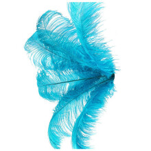 20 Stück Natürliche Straußenfedern Hochzeit Dekoration See Blau 20-25cm
