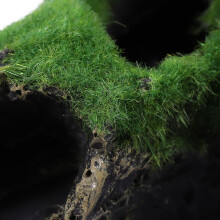 2X Fish Tank Decoration Accessories Moss Tree House Cave for Little Fish Aquarium Decorations