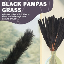 30Pcs Black Pampas Grass, 17 Inch Natural Dried Fluffy Small Stems for Home Wedding Decor Flower Arrangements,Decor