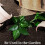 2X Table Runner 10 M X 30 cm Jute Table Runner Linen Jute Fabric, Table Runner Roll Table Decoration Wedding 5