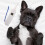 Thermomètre Pour Animaux, Tip Flexible, Facile À Lire 5