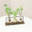 Wooden Frame Tabletop Vase Set Multi-Purpose Bonsai Planter Hydroponic Base Terrarium Display Containers Home Decor C 7