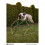 Speeltuin - Klimdome - HyperMotion - Spin - Maximaal gewicht 350kg - Diameter 1,8m 6
