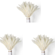 120Pcs Natural Dried White Pampas Grass 45CM Fluffy and Swinging DIY Boho Plant for Wedding Flower Arrangements Decor