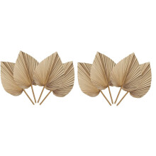 8 Pieces Natural Dried Leaves are Perfect for Leaf Decor, Boho Decor, Home Decor, Wedding