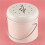 2X Compost Bin 3L - Stainless Steel Kitchen Compost Bin - Kitchen Composter for Food Waste - Coal Filter 5