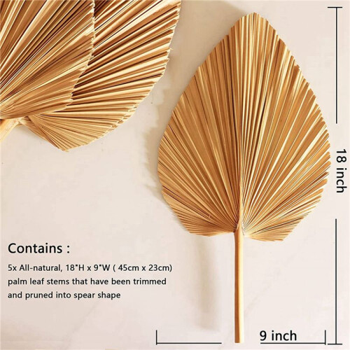 10 Pcs 18 Polegadas Natural  Spear Folhas de Palmeira Tropical FãS Boho DecoraçãO de Casamento DecoraçãO Havaiana 1