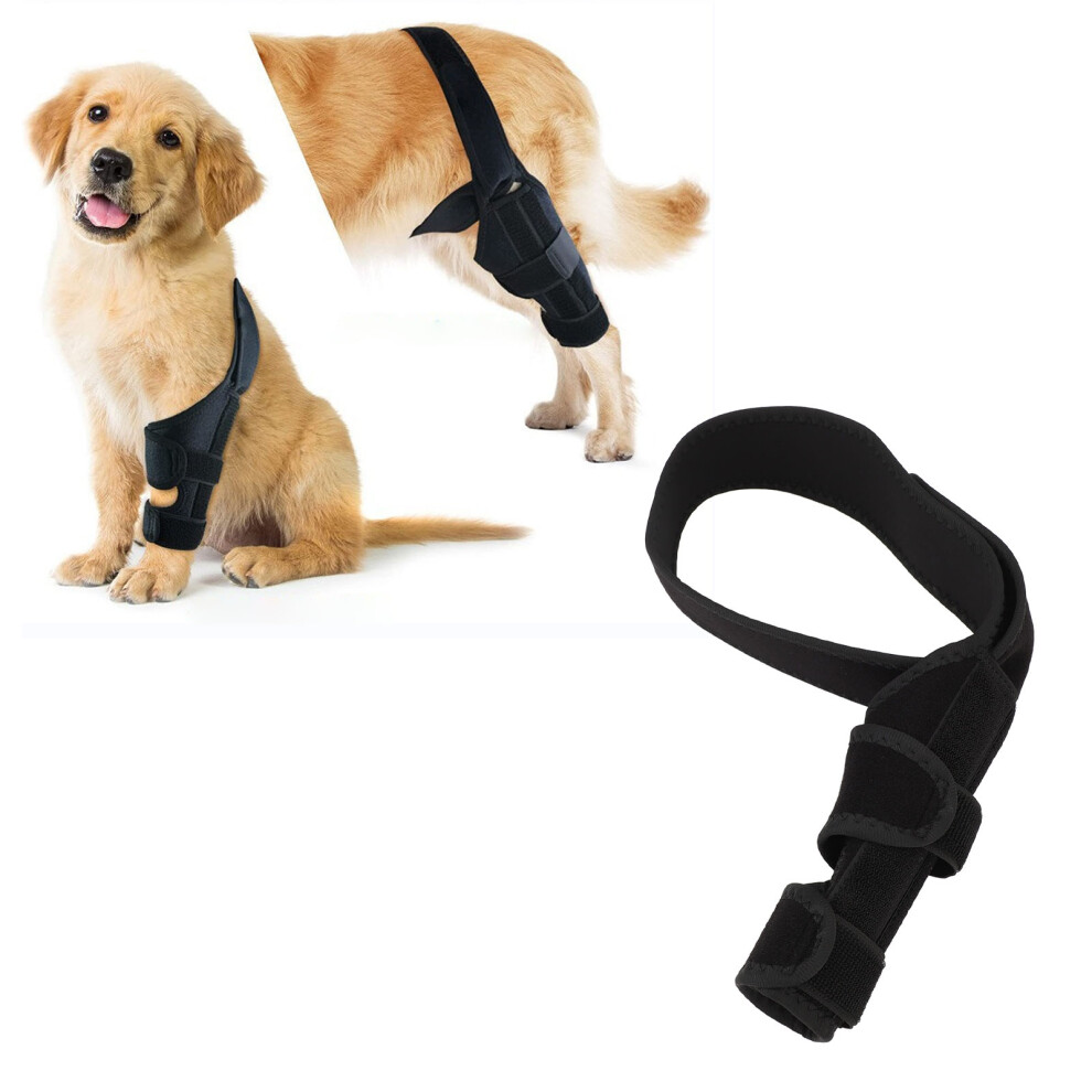 Dog Knee Brace for ACL CCL Support, Adjustable Nylon Alloy, L