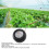 2 in 1 Pointer Temperature Light Meter, 54g 4