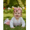 (9-12 Months, White) Set 3 piese bandă păr 5
