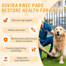 Dog Knee Brace for Acl and Ccl Injuries - Adjustable Support with Metal Stabilizers - Helps with Joint Pain, M